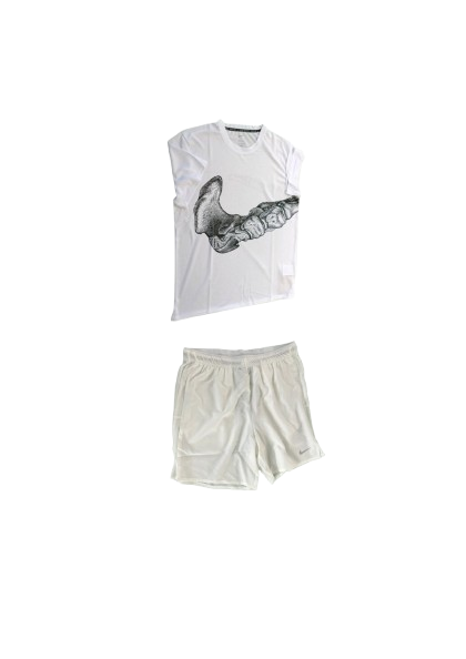 T Shirt Nike